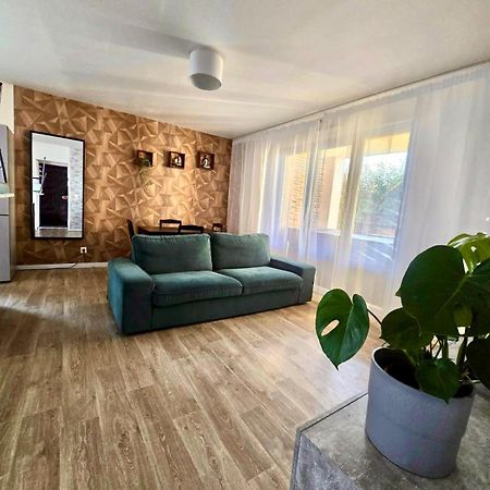 Appartement Rez De Chaussee Avec Parking Prive Орлеан Экстерьер фото
